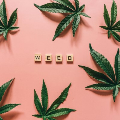 The Importance of Weed Ratings: Ensuring Safety and Efficacy in Medical Cannabis Treatment Plans in the UK